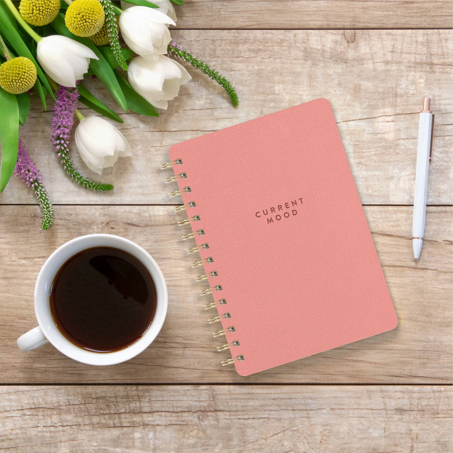 Current Mood Notebook (Coral Pink)