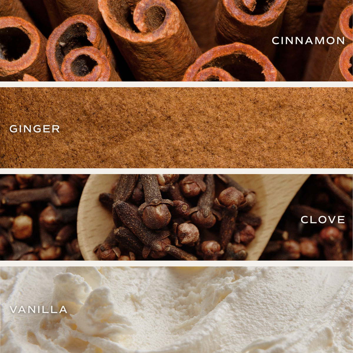 Gingerbread and Spice 9 oz Soy Candle
