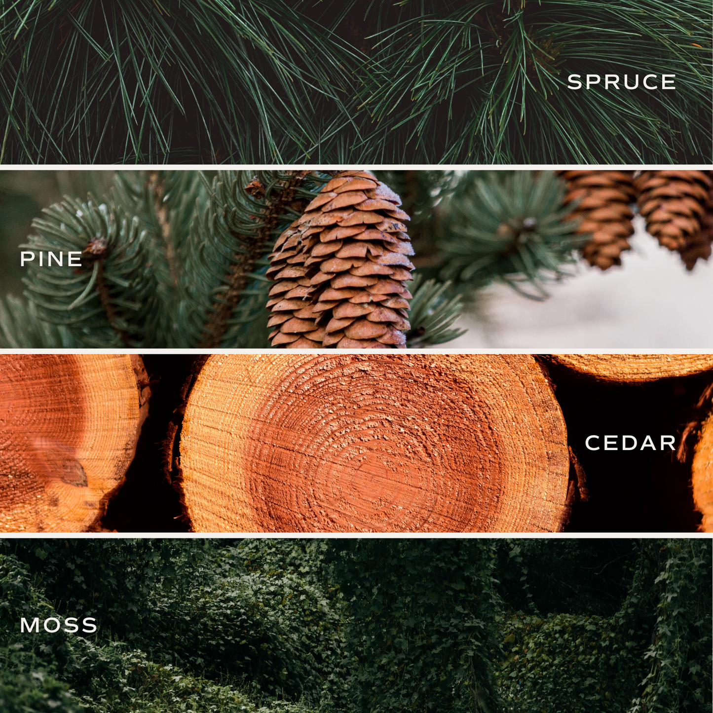 Christmas Tree Reed Diffuser - Christmas Decor