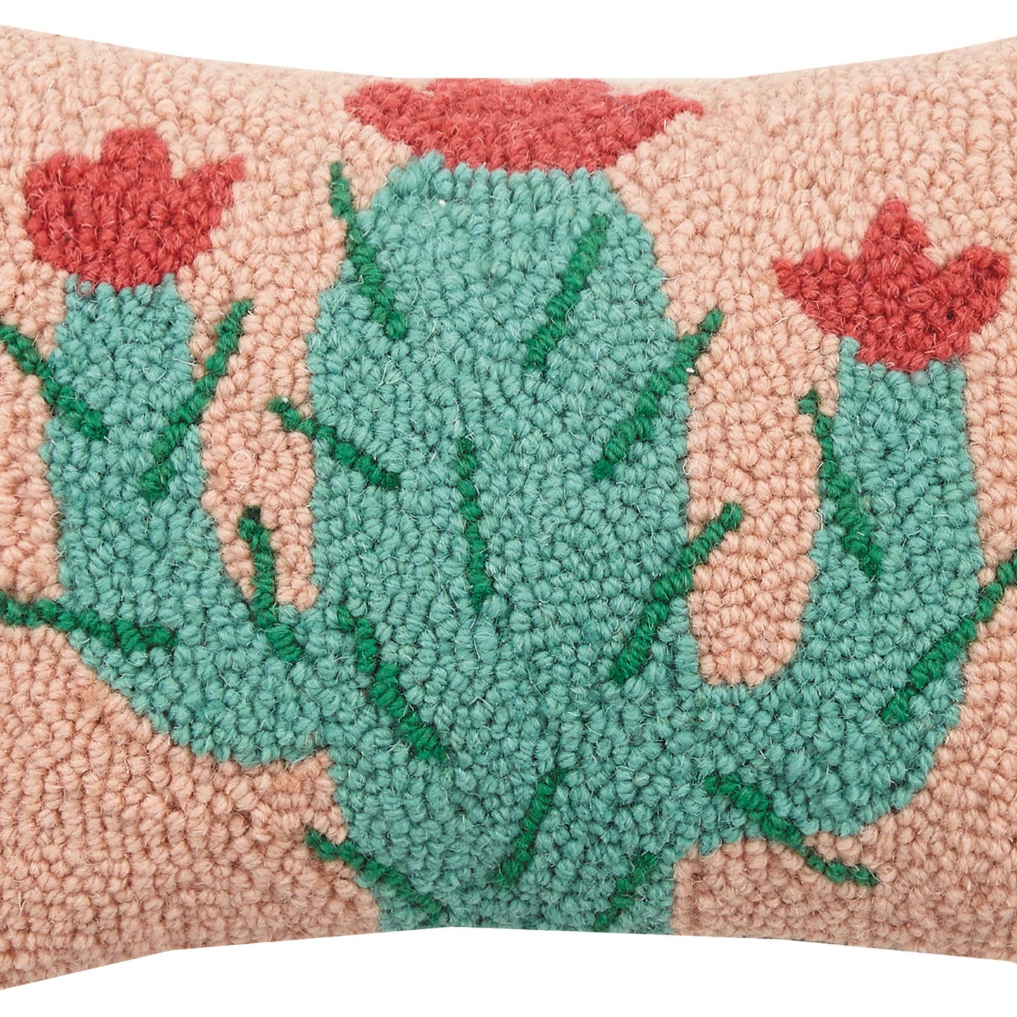 Cactus Hook Pillow