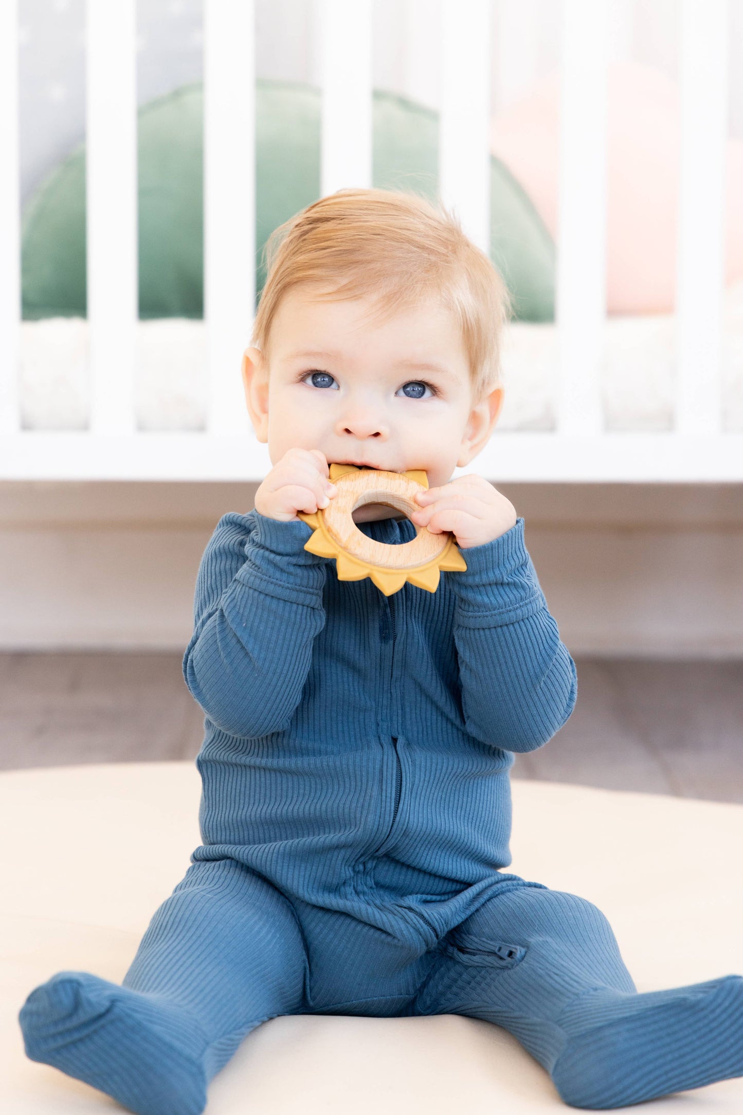 Colors of the Ranch Learning Toy