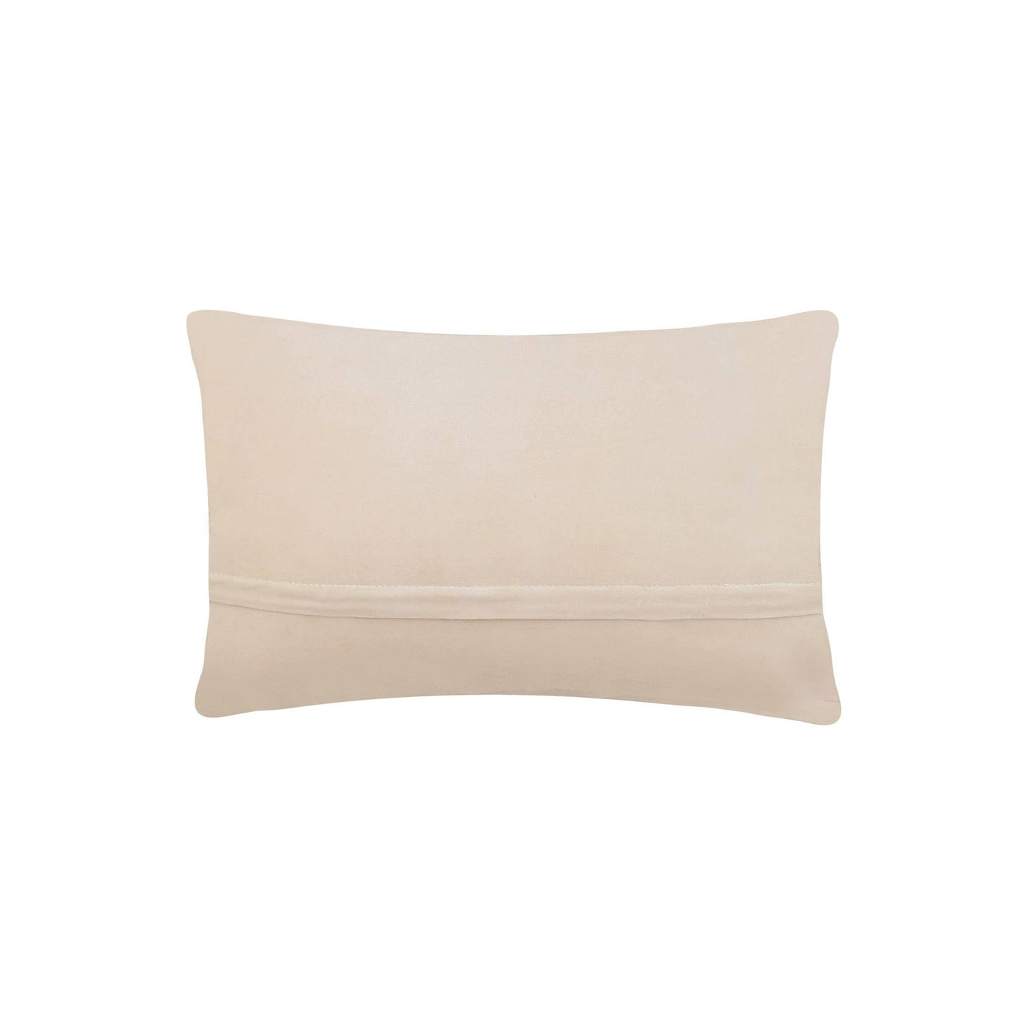 Cactus Hook Pillow
