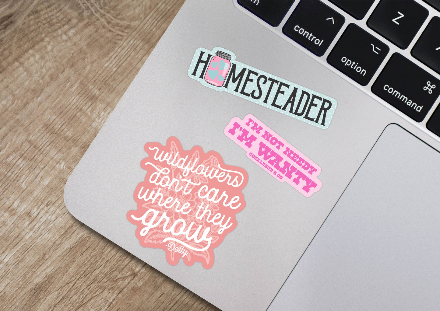 Wildflowers Don't Care Where They Grow Sticker