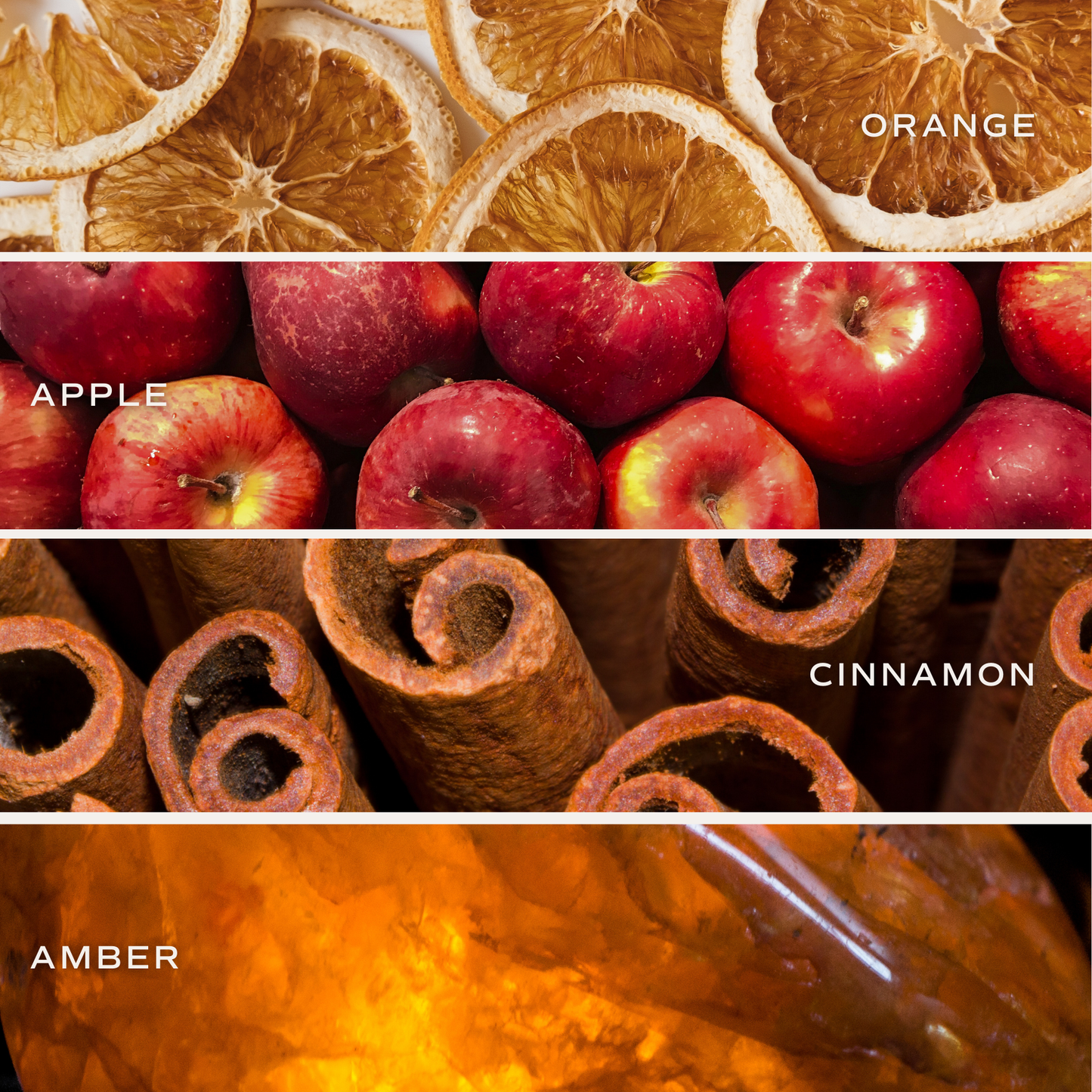 Mulled Cider 9 oz Soy Candle - Fall Decor & Gifts